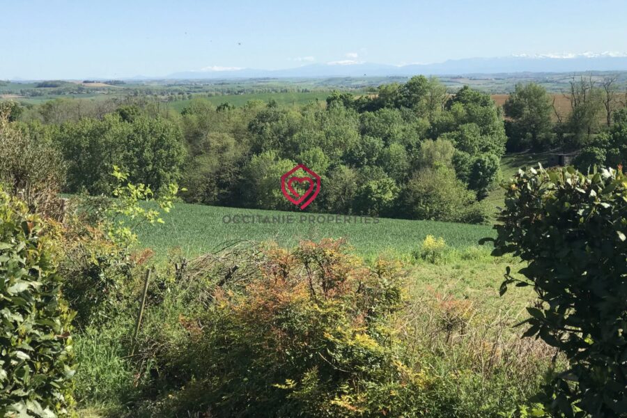 Maison à vendre à Villefranche-de-Lauragais — Vue montagne — photo 28