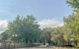 Maison à vendre à Châteauneuf-Grasse — Vue parc & jardin — photo 2
