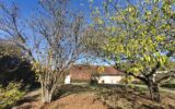 Maison à vendre à Vandenesse — Vue nature — photo 3