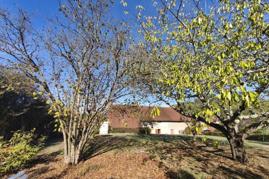Maison à vendre à Vandenesse — Vue nature — photo 3