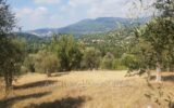 Terrain à vendre à Opio — Vue sur la ville — photo 2