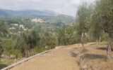 Terrain à vendre à Opio — Vue sur la ville — photo 10