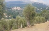 Terrain à vendre à Opio — Vue sur la ville — photo 7