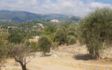 Terrain à vendre à Opio — Vue sur la ville — photo 9