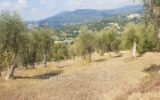 Terrain à vendre à Opio — Vue sur la ville — photo 3