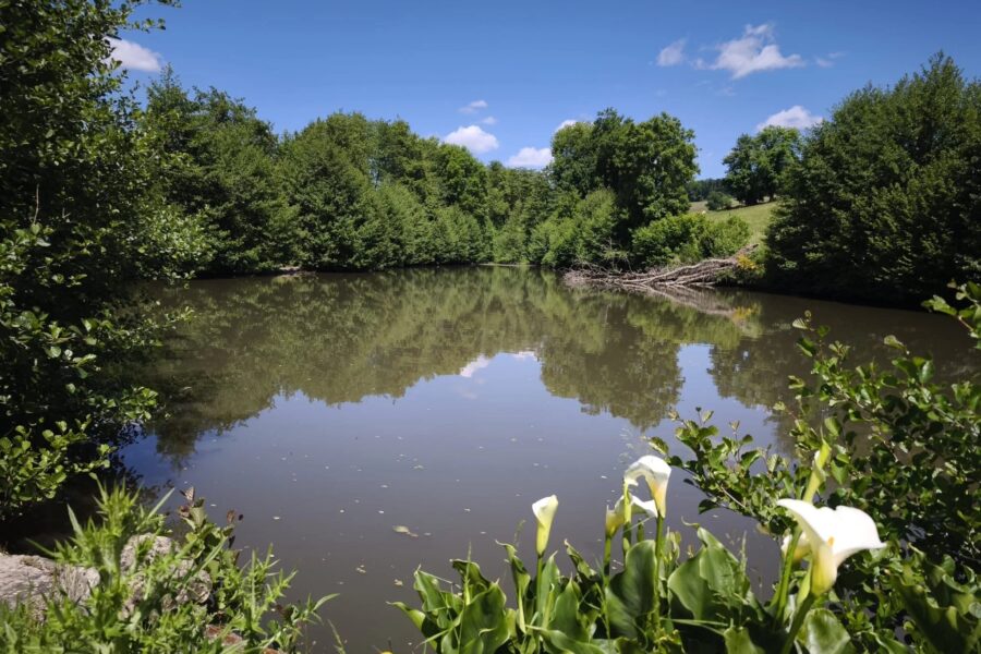 Terrain à vendre à Onlay — Vue lac — photo 1