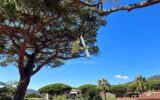 Appartement à vendre à Roquebrune-sur-Argens — Vue nature — photo 24