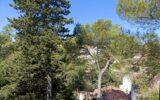 Appartement à vendre à Nîmes — Vue parc & jardin — photo 1
