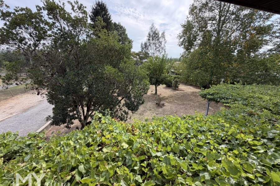 Maison à vendre à Saint-Pey-de-Castets — Vue parc & jardin — photo 16