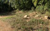 Terrain à vendre à Saint-Cézaire-sur-Siagne — Vue nature — photo 2