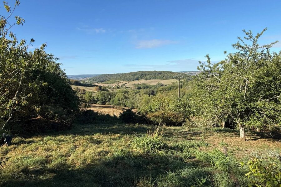 Appartement à vendre à Bourbonne-les-Bains — Vue nature — photo 29