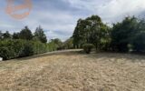 Maison à vendre à Saint-Didier-au-Mont-d&rsquo;Or — Vue parc & jardin — photo 5