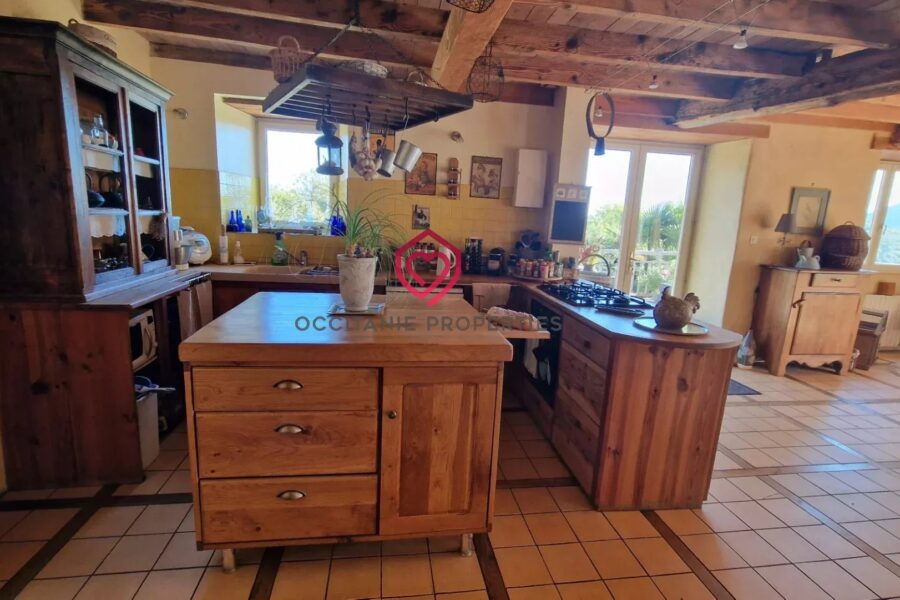 Maison à vendre à Esplas-de-Sérou — Vue montagne — photo 6
