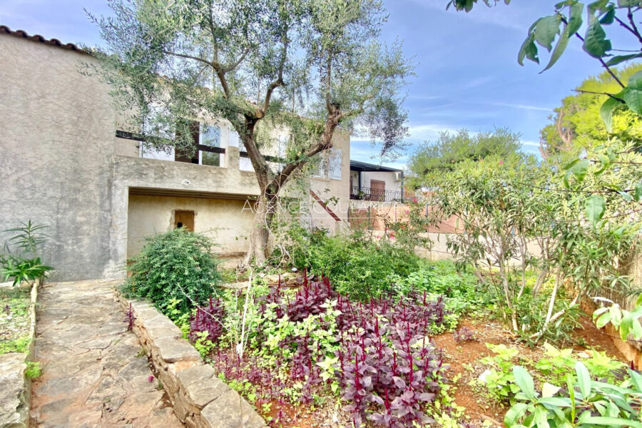 Maison à louer à La Ciotat — Vue parc & jardin — photo 10