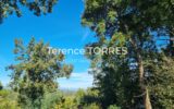 Maison à vendre à La Garde-Freinet — Vue montagne — photo 20