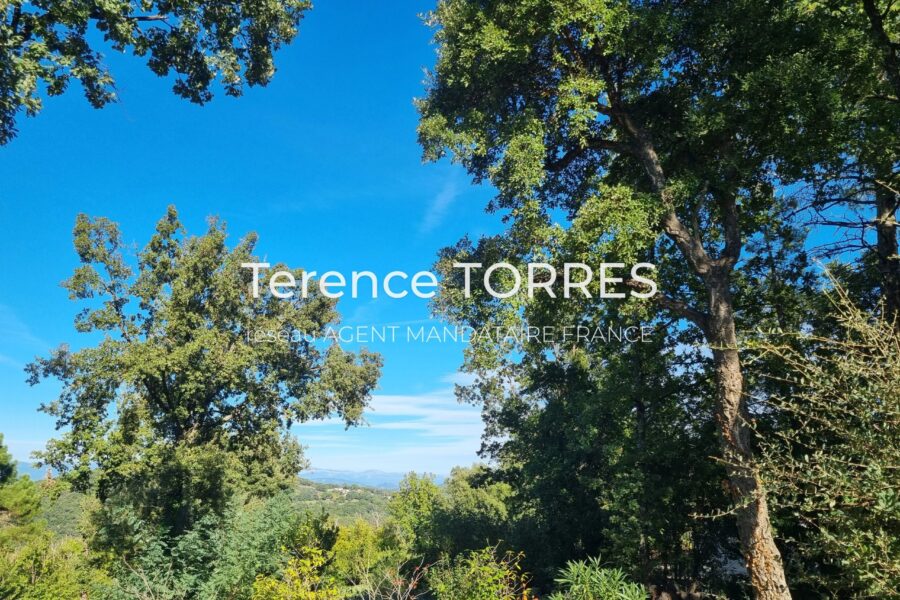 Maison à vendre à La Garde-Freinet — Vue montagne — photo 20