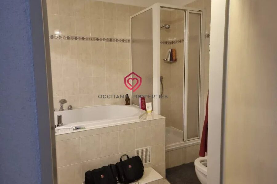 Maison à vendre à Lombez — Vue montagne — photo 11