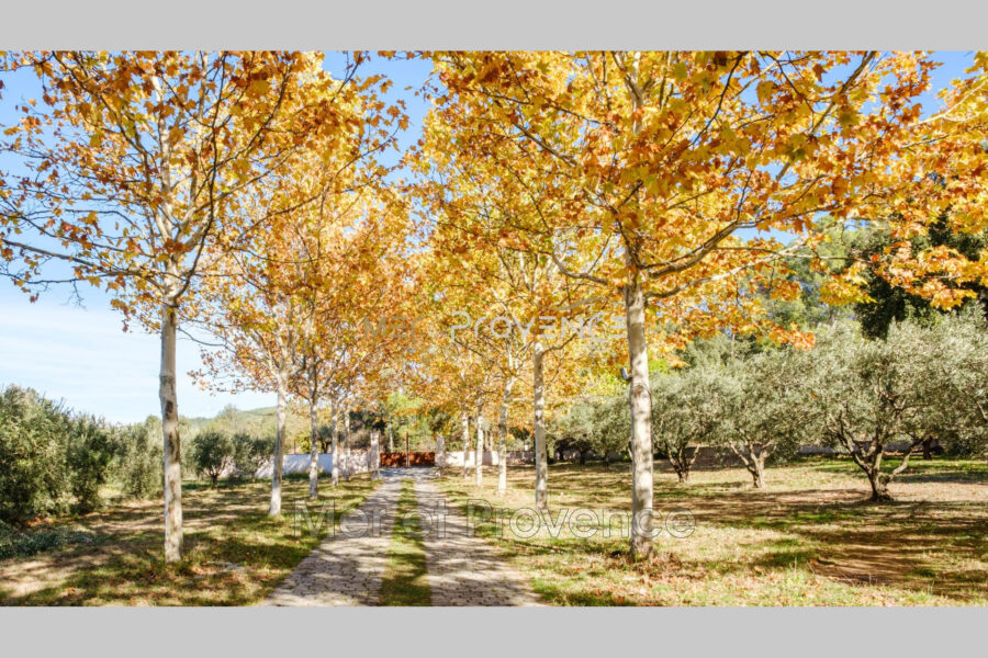 Maison à vendre à Les Arcs — Vue parc & jardin — photo 20