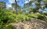 Maison à vendre à Montfort-sur-Argens — Vue nature — photo 15