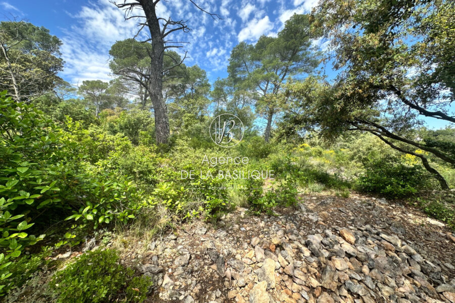 Maison à vendre à Montfort-sur-Argens — Vue nature — photo 15