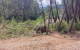 Terrain à vendre à Salernes — Vue dégagée — photo 1