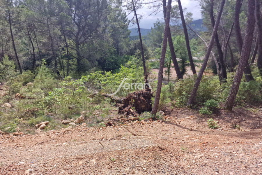 Terrain à vendre à Salernes — Vue dégagée — photo 1