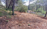 Terrain à vendre à Salernes — Vue dégagée — photo 1