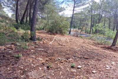 Terrain à vendre à Salernes