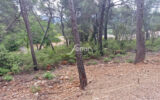 Terrain à vendre à Salernes — Vue dégagée — photo 1
