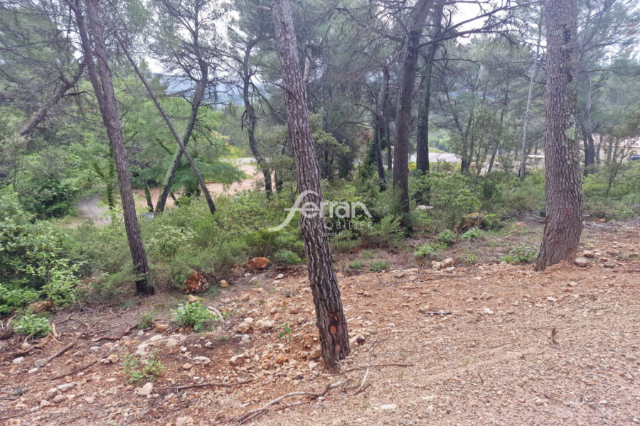 Terrain à vendre à Salernes — Vue dégagée — photo 1