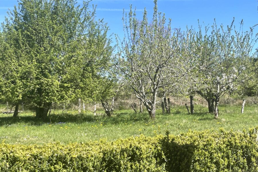 Maison à vendre à Saint-Léger-de-Fougeret — Vue montagne — photo 3