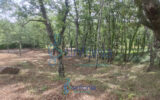 Terrain à vendre à Pougnadoresse — photo 11