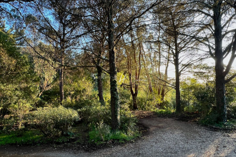 Maison à vendre à La Croix-Valmer — Vue mer — photo 18