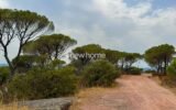 Maison à vendre à La Garde-Freinet — Vue montagne — photo 23
