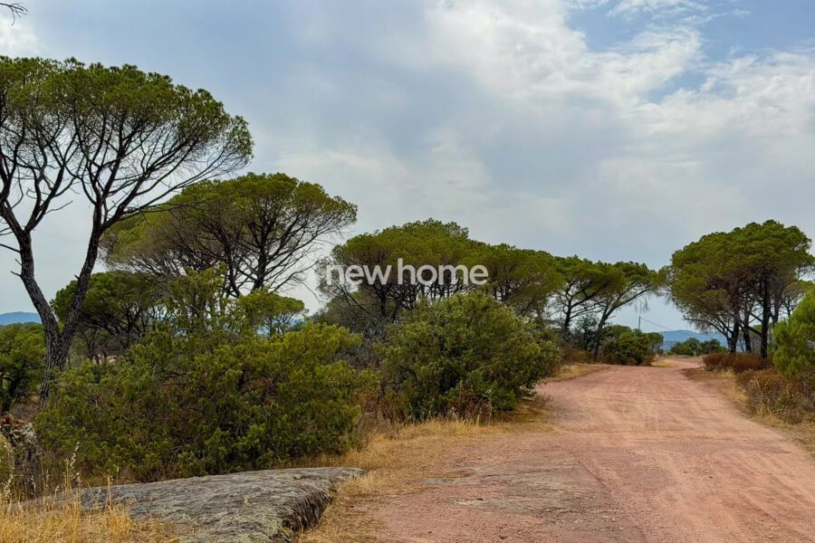 Maison à vendre à La Garde-Freinet — Vue montagne — photo 23