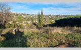 Terrain à vendre à La Colle-sur-Loup — Vue nature — photo 1