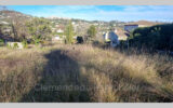 Terrain à vendre à La Colle-sur-Loup — Vue nature — photo 2