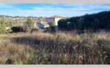 Terrain à vendre à La Colle-sur-Loup — Vue nature — photo 1