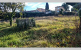 Terrain à vendre à La Colle-sur-Loup — Vue nature — photo 2