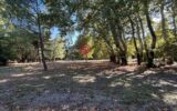 Maison à vendre à Carcassonne — Vue parc & jardin — photo 1