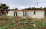 Maison à vendre à Vidauban — Vue nature — photo 5