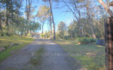 Maison à vendre à La Colle-sur-Loup — Vue parc & jardin — photo 3