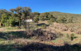 Maison à vendre à Vidauban — Vue nature — photo 1