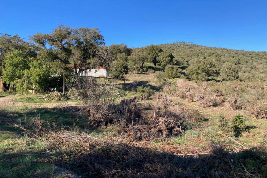 Maison à vendre à Vidauban — Vue nature — photo 1