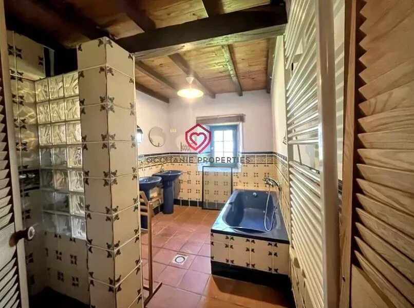 Maison à vendre à L&rsquo;Isle-en-Dodon — Vue montagne — photo 13
