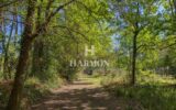 Maison à vendre à Sanguinet — Vue nature — photo 11