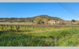 Maison à vendre à Vidauban — Vue nature — photo 1