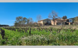 Maison à vendre à Vidauban — Vue nature — photo 6