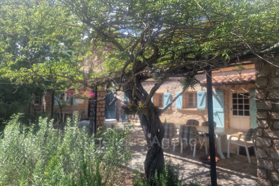 Maison à vendre à Lorgues — Vue parc & jardin — photo 4
