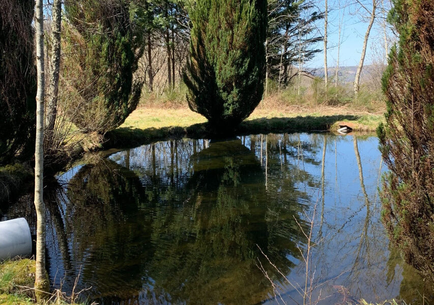 Maison à vendre à Marcenat — Vue parc & jardin — photo 10